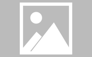 郯城如何制作报表小程序（如何制作报表小程序软件）